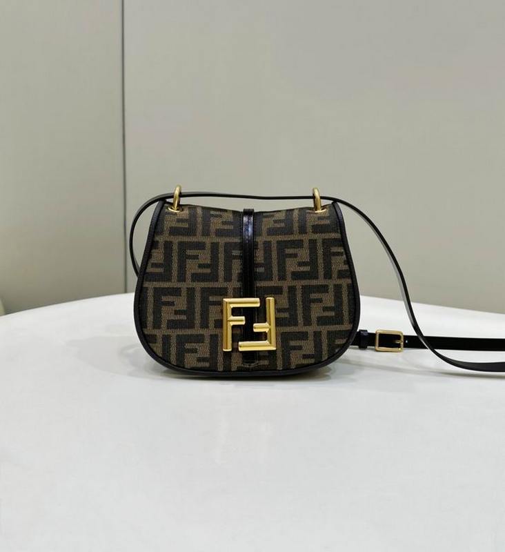 Fendi Handbags 1